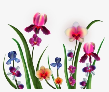 Png Клипарт "realistic Vector Delicate Orchids - Orchids, Transparent Png, Free Download