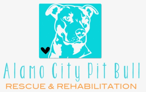 Alamo City Pit Bull Rescue And Rehabilitation - Alamo City Pitbull Rescue, HD Png Download, Free Download