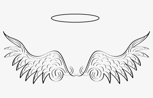 Vector Halo Black Angel - Clipart Transparent Background Angel Wings, HD Png Download, Free Download