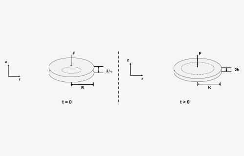 Circular Plate Squeeze Flow - Darkness, HD Png Download, Free Download