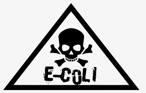 Risk Factors Of E Coli, HD Png Download, Free Download