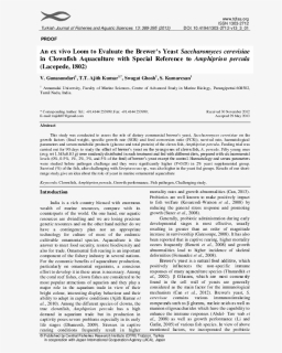 Document, HD Png Download, Free Download