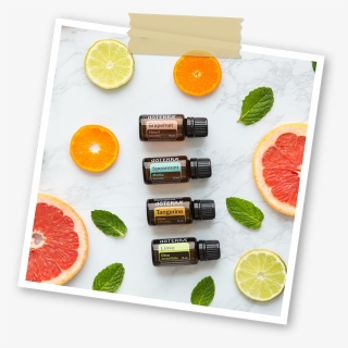 Lime, HD Png Download, Free Download