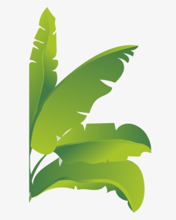 Banna Leaf Png - Illustration, Transparent Png, Free Download