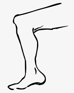 Drawing Leg Clipart, Picture - Leg Clipart Black And White, HD Png Download, Free Download