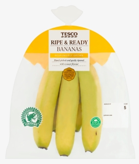 Tesco Bananas, HD Png Download, Free Download