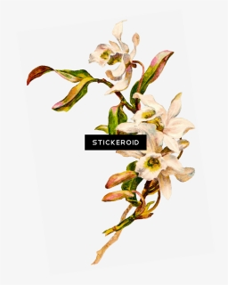 Flowers Bouquet , Png Download, Transparent Png, Free Download
