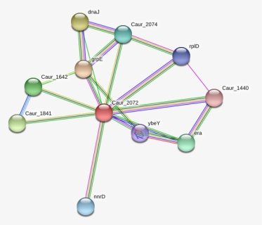 Caur 2072 Protein - Circle, HD Png Download, Free Download