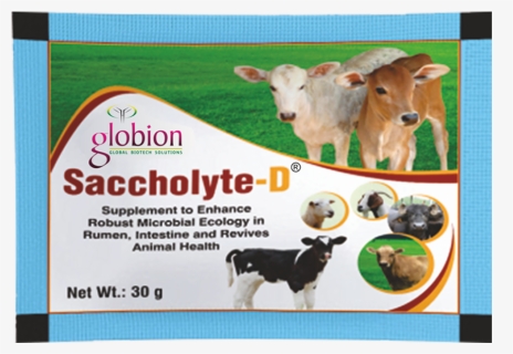 Saccholyte-d Fi - Dairy Cow, HD Png Download, Free Download