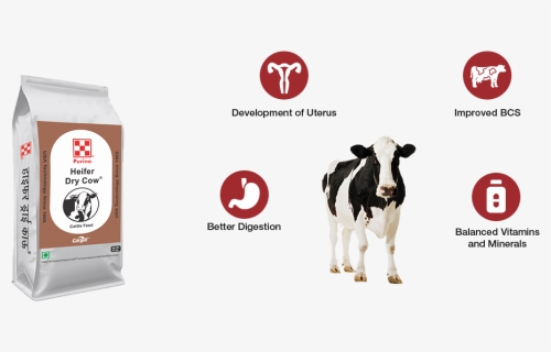 Cargill Feed Calf Grower, HD Png Download, Free Download