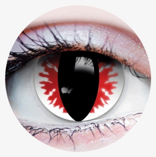 Devil Eyes Primal Contact Lenses , Png Download - White Werewolf Contact Lenses, Transparent Png, Free Download