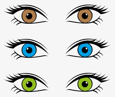 Eyes Big Image Png - Eye Color Clipart, Transparent Png, Free Download