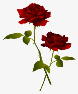 Red Rose Flower Clipart - Hybrid Tea Rose, HD Png Download, Free Download