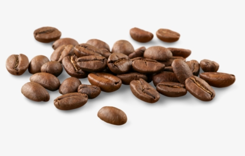 Coffee Seeds Png, Transparent Png, Free Download