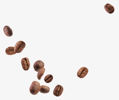 Java Coffee, HD Png Download, Free Download
