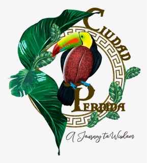 Ciudad Perdida Logo 1 - Illustration, HD Png Download, Free Download