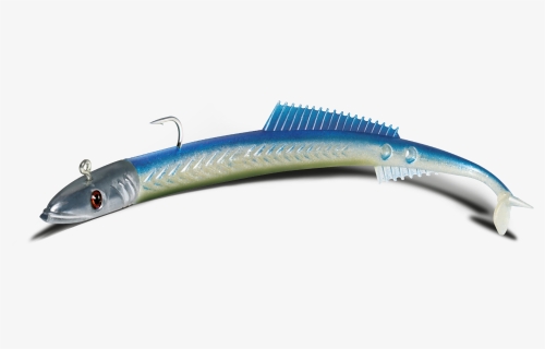 Eel Png, Transparent Png, Free Download