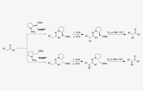File - Endersreaction - Alkylation Of Aldehydes Mechanism, HD Png Download, Free Download