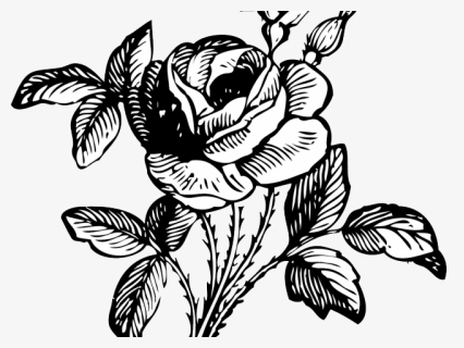 Tumblr Png Black - Transparent Rose Clipart Black And White, Png Download, Free Download
