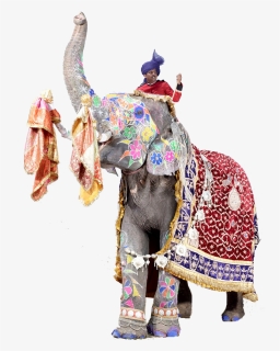 Jaipur Elephant Festival Png Free Pic - Indian Elephant, Transparent Png, Free Download