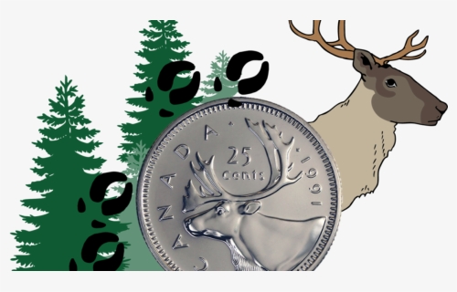 Caribou Banner Blog Aug 28 - Vector Pine Tree Png, Transparent Png, Free Download