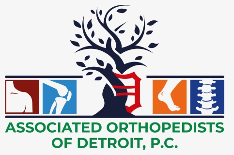 Associated Orthopedists Of Detroit, P - Graphic Design, HD Png Download, Free Download