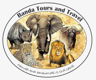 Banda Tours And Travel - Drawings Of The Big Five, HD Png Download, Free Download