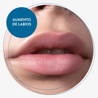 Aumento De Labios - Lip Care, HD Png Download, Free Download