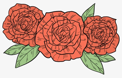 Red Roses Clipart - Floribunda, HD Png Download, Free Download