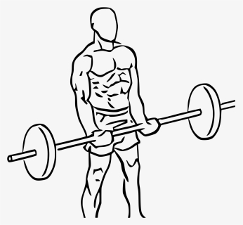 Barbell Curl Icon , Png Download - Biceps Curl Png, Transparent Png, Free Download