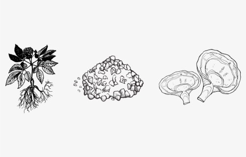 Line Art, HD Png Download, Free Download