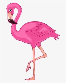 Flamingo Clipart, HD Png Download, Free Download