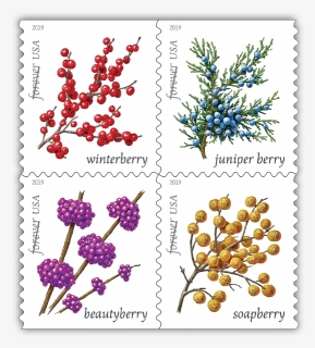 Early Winter Berries Arrive September - Us Postage Stamps 2019, HD Png Download, Free Download