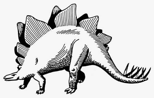 Stegosaurus Png , Png Download - Vector Dinosaur Black And White, Transparent Png, Free Download