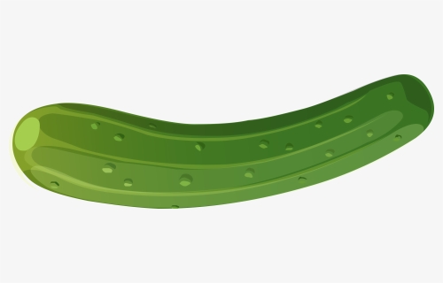 Zucchini Clipart Small - Zucchini Clipart, HD Png Download, Free Download