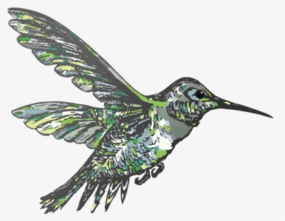 Hummingbird Clipart Flying - Clip Art, HD Png Download, Free Download