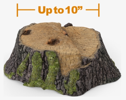 Tree Stump, HD Png Download, Free Download