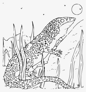 Monitor Lizard Coloring Page, HD Png Download, Free Download