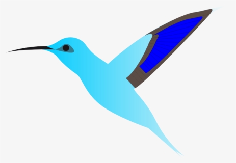 Graphics Of Humming Bird In Flight - Kartun Burung Png, Transparent Png, Free Download