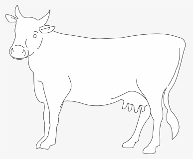 Cow Vector Png White, Transparent Png, Free Download