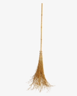 Witch Broom Bamboo - Tree, HD Png Download, Free Download