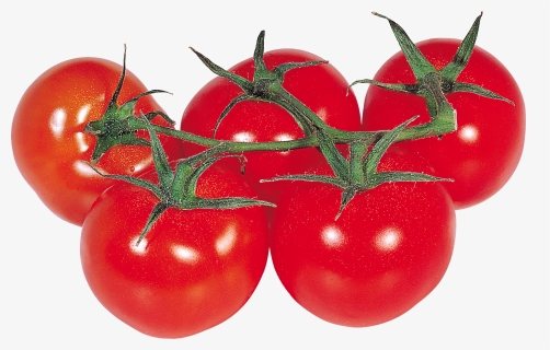 Tomato Png - Клипарт Помидоры, Transparent Png, Free Download