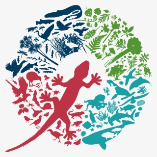 Conservation Week 2018, HD Png Download, Free Download