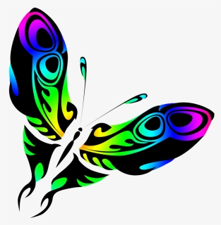 Rainbow Colored Butterfly Drawing - Graphic Design, HD Png Download, Free Download