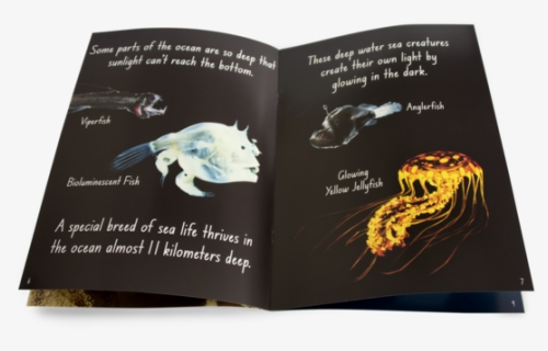 Books About Deep Sea Creatures, HD Png Download, Free Download