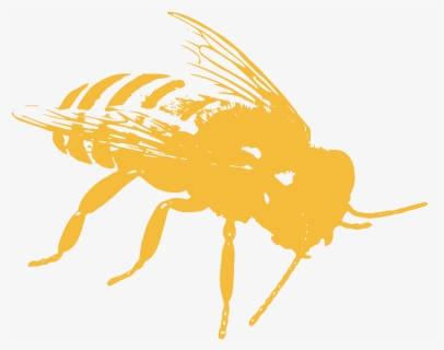 Pollinator Toolbox, Honeybee Icon - Honeybee Icon, HD Png Download, Free Download