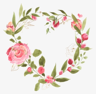 About - Garden Roses, HD Png Download, Free Download