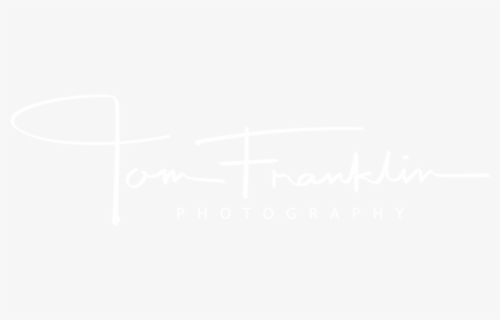 Tom Franklin De Waart Logo - Johns Hopkins Logo White, HD Png Download, Free Download