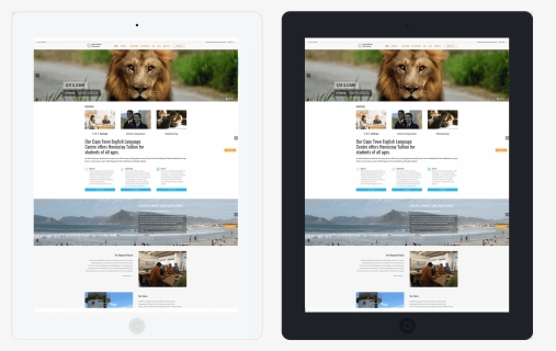 Online Advertising, HD Png Download, Free Download