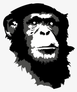Ape Chimpanzee - Simpanz Tricko, HD Png Download, Free Download